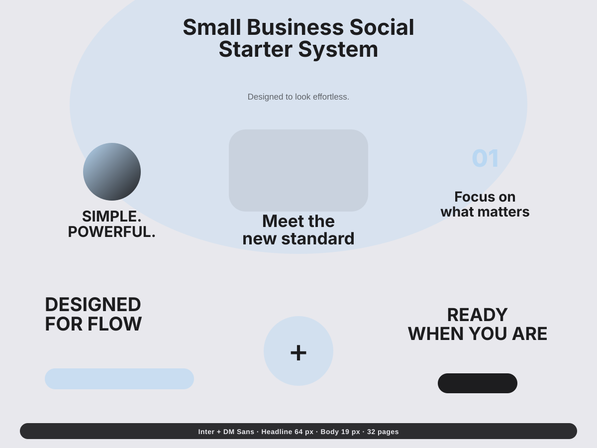 Small Business Social Starter System preview